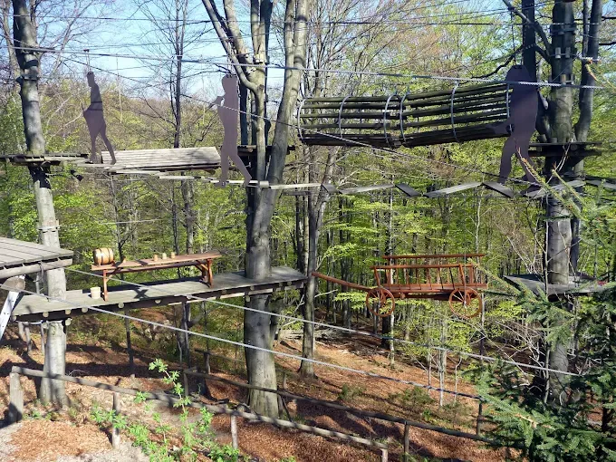Górski Park Równica